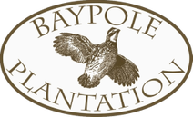 Quail Hunting Logo of Baypole Plantation